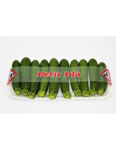 Carbassó mini + -12cm Bandeja de 9u