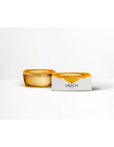 Pastís de formatge artesà "Viciós" 225gr