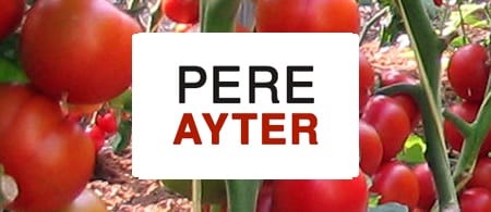Pere Ayter